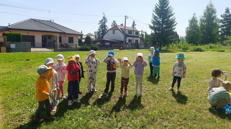 Hmyzí svet pod lupou